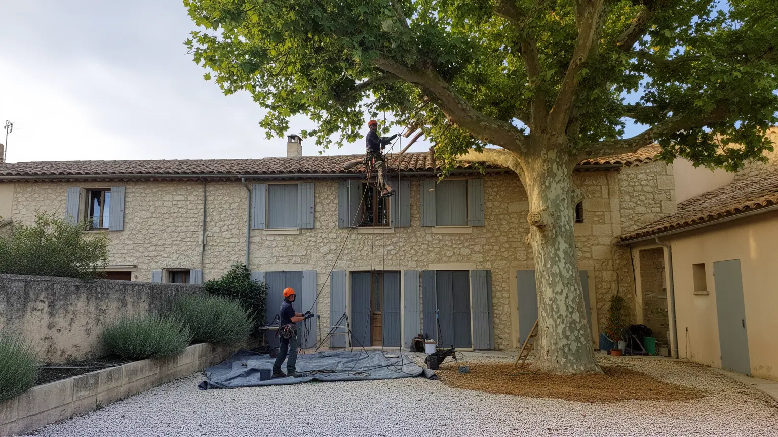 Élagueur professionnel à Milhaud et alentours